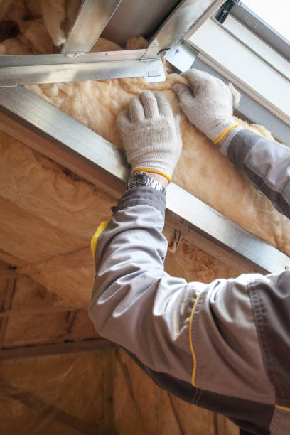 Best Insulation Installation Services in Harlem, FL