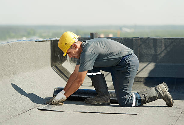 Best Energy Efficiency Solutions in Harlem, FL