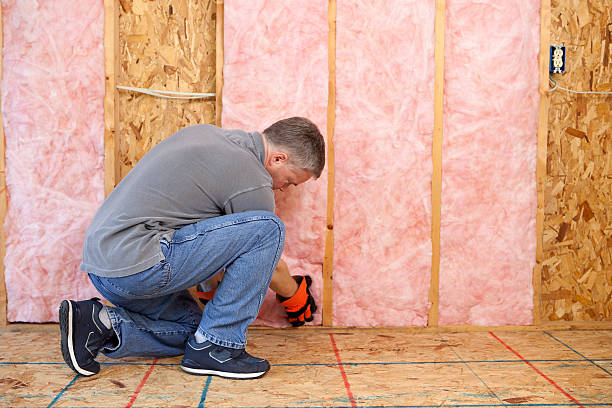 Best Insulation for Specific Applications in Harlem, FL