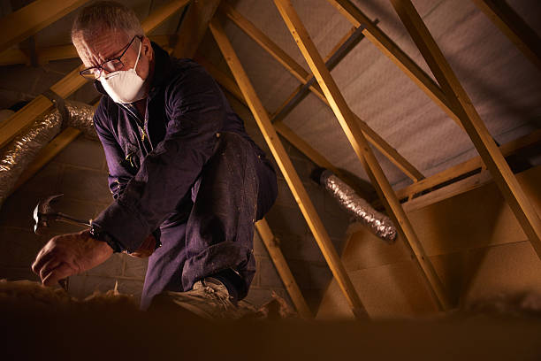 Best Specialty Insulation in Harlem, FL