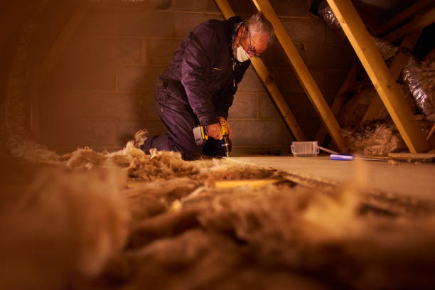 Best Insulation Installation Services in Harlem, FL